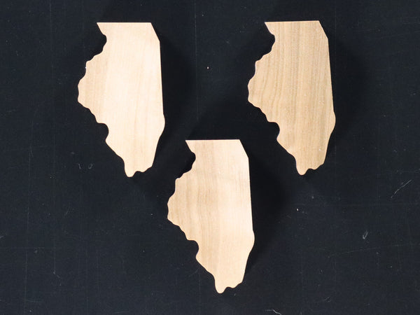 Illinois Inlays