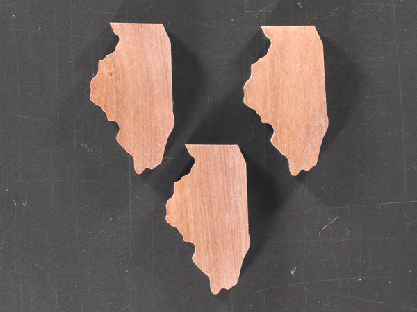 Illinois Inlays