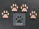 Mountain Lion Track Expansion Packs